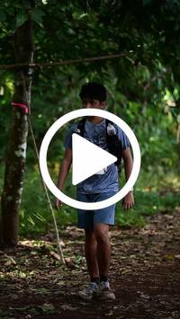 BIB:  <button type="button" onclick="openModal(27529413)" class="btn btn-primary btn-sm float-right" data-toggle="modal" data-target=".modal-high-quality">
                <i class="fa fa-download"></i> Download
                </button>